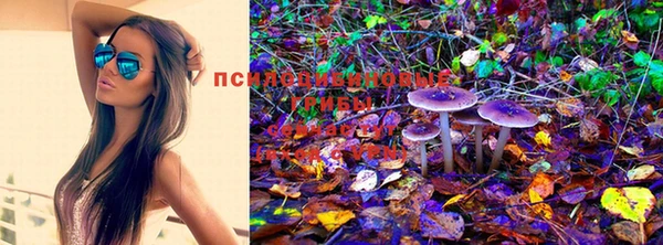 стафф Балахна
